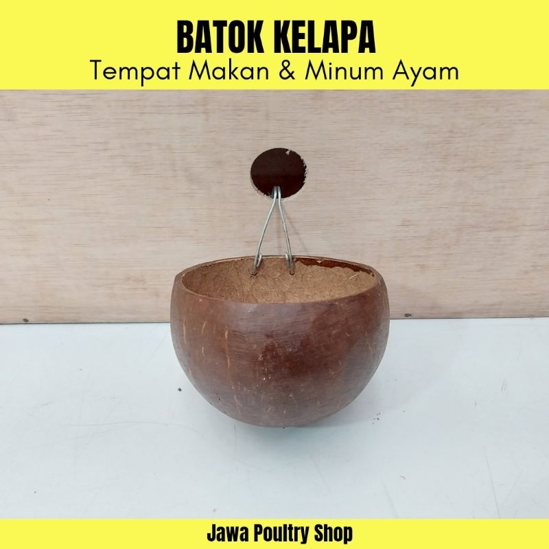 Tempat Pakan & Minum Ayam Dari Batok Kelapa - Kolak Batok Kelapa