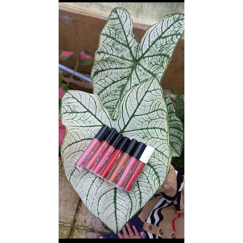 LIPPMETTE BPOM FENNY FRANS