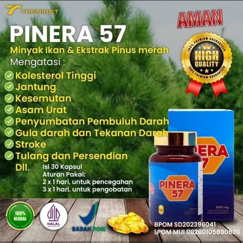 pinera57Original