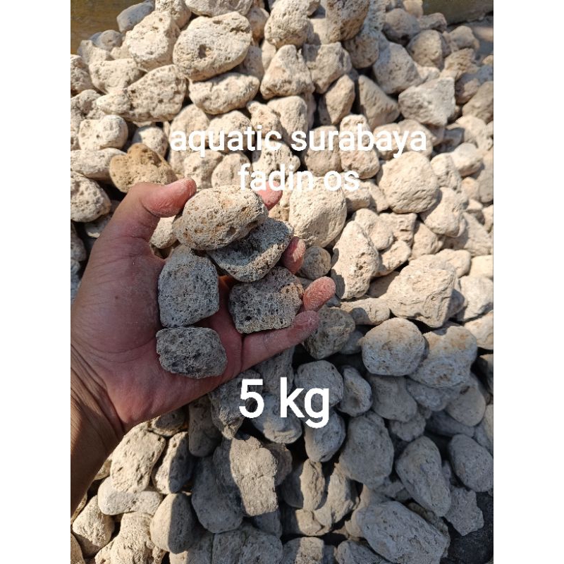 Batu Apung Filter Pumice Stone Batu Pumice  Filter Aquarium Kolam 5 kg