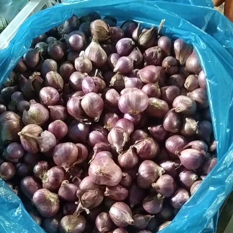 

pasar