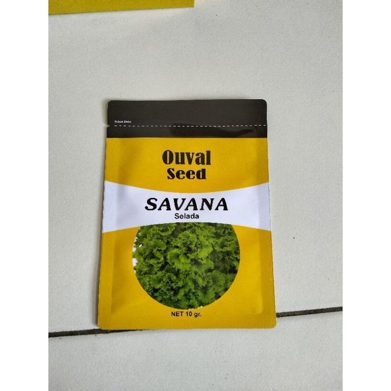 benih selada keriting savana