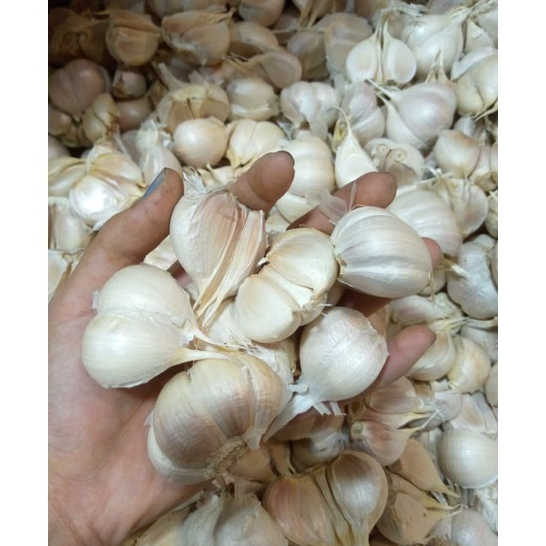 

★★★★★ Bawang Putih Kating Bersih 1kg