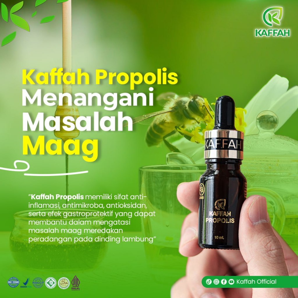 Herbal asam Lambung Obat maag Kaffah propolis