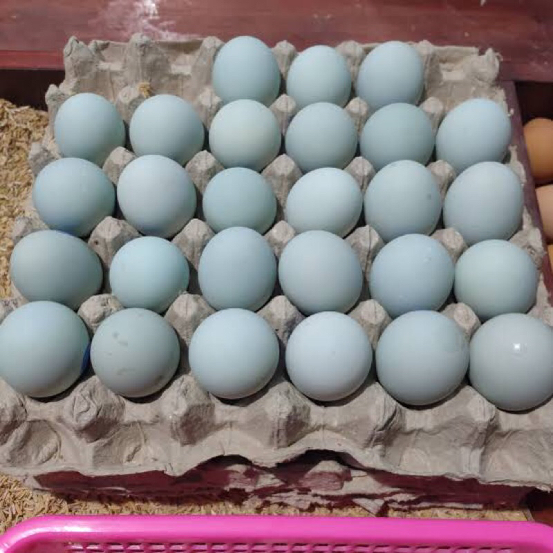 

Telur asin / Telur ayam kampung negeri satuan