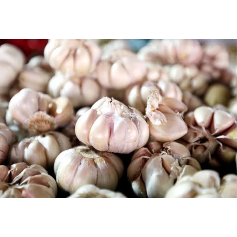 

Bawang Putih Premium 500gr