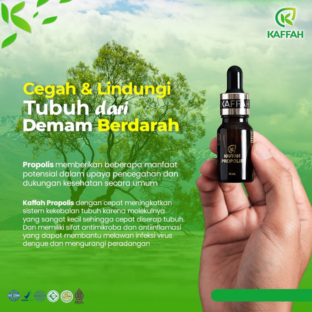 

Herbal Pencegahan Demam Berdarah Kaffah Propolis