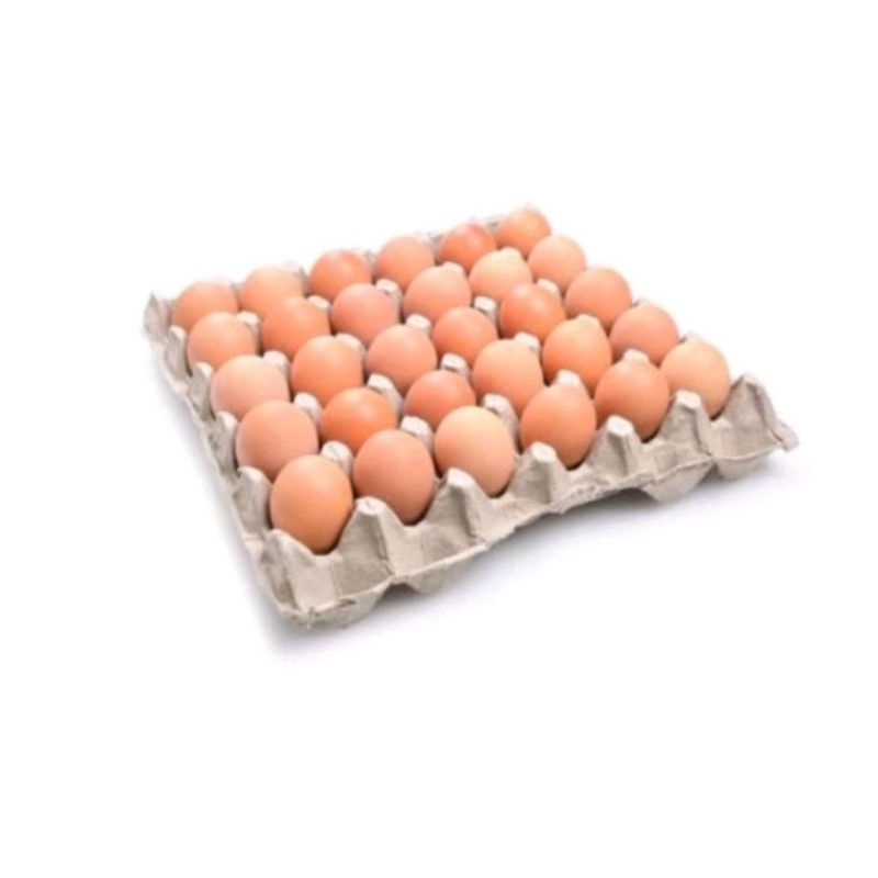 

Telur Ayam Negri / telur ayam negeri Garut / peternak garut