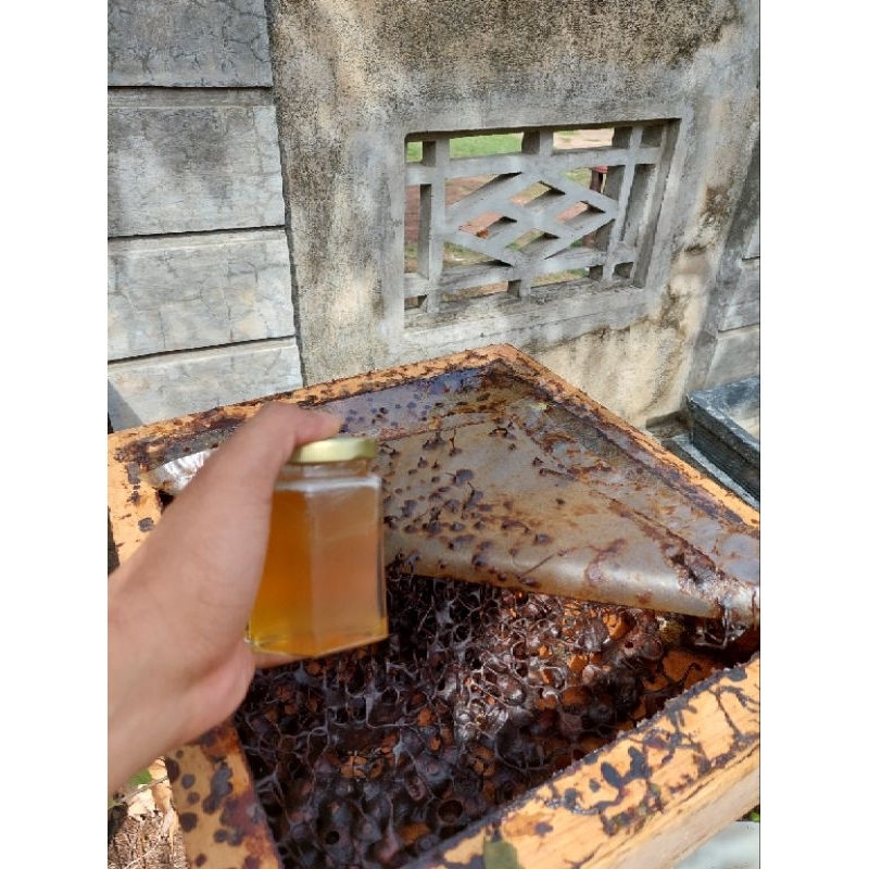 

Bee Pollen Klanceng lebah jenis itama