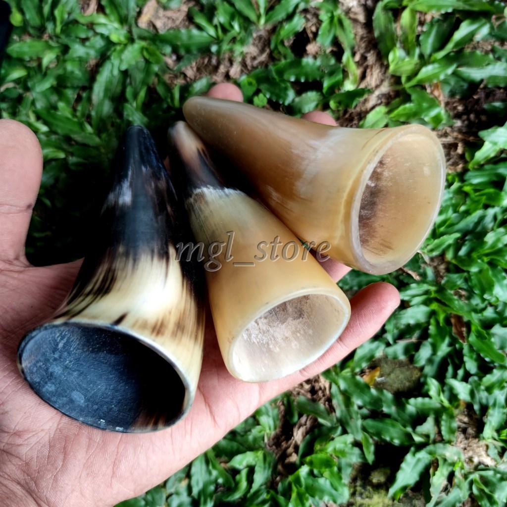 Kop bekam mini tanduk sapi asli / alat bantu kesehatan tradisional bekam tanduk