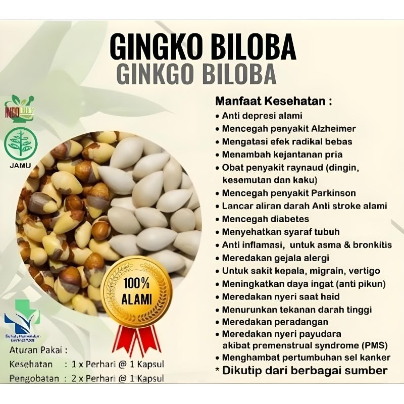 SUPER GINKGO BILOBA KAPSUL HERBAL LIBIDO GRADE A