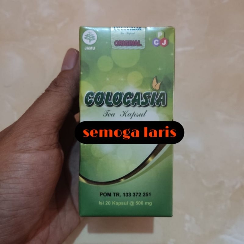 Colocasia Obat Herbal Sendi dan Asam Urat Asli Original