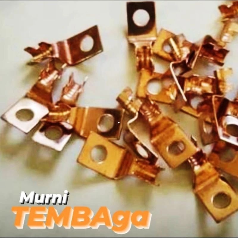 (10Pcs) Skun Sekun Aki Kotak Tembaga Murni 100% M6 (Lubang Baut 10an) - Klem Aki / Skun Sekun Aki Mo