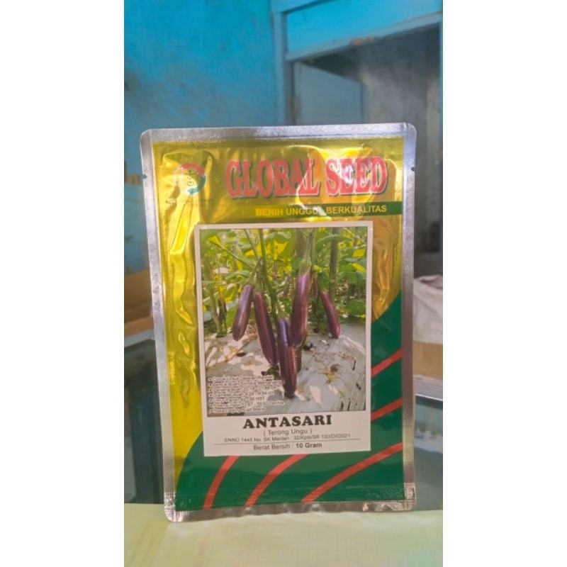 

benih_terong_ungu_antasari