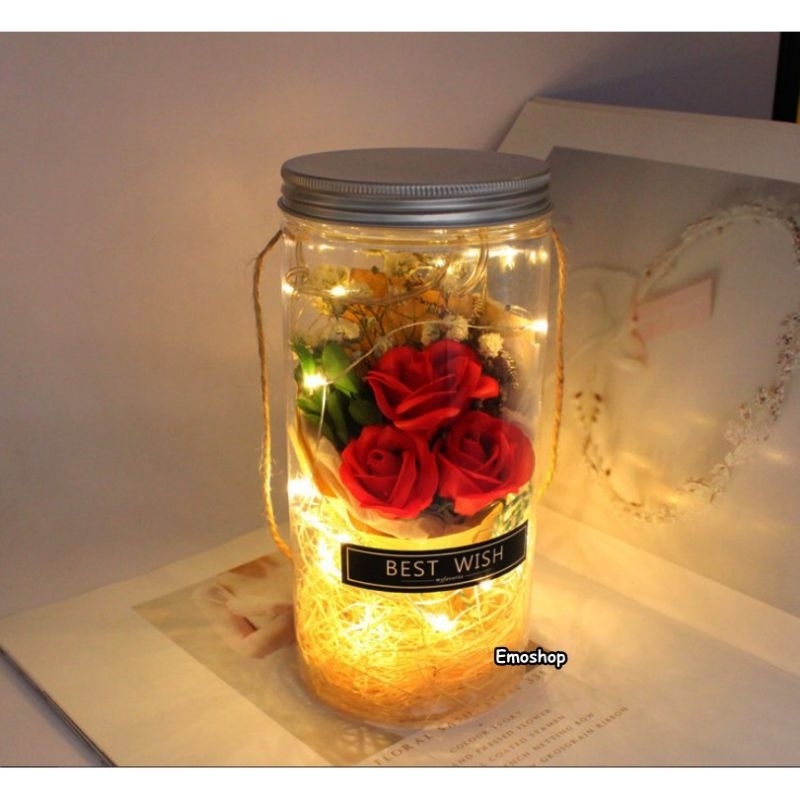 

bloom box toples led