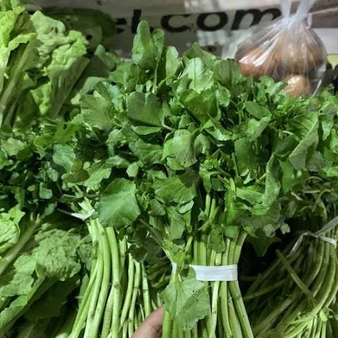 

SAYUR SELADA AIR _ 1 IKAT