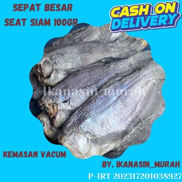 

IKAN ASIN SEPAT KECIL / SEPAT BESAR 100 GRAM / IKAN ASIN MURAAH BISA COD