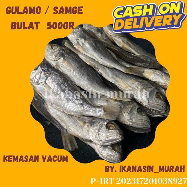 

IKAN ASIN GULAMO / SAMGE / KEPALA BATU 500GR / IKAN ASIN MURAH BISA COD