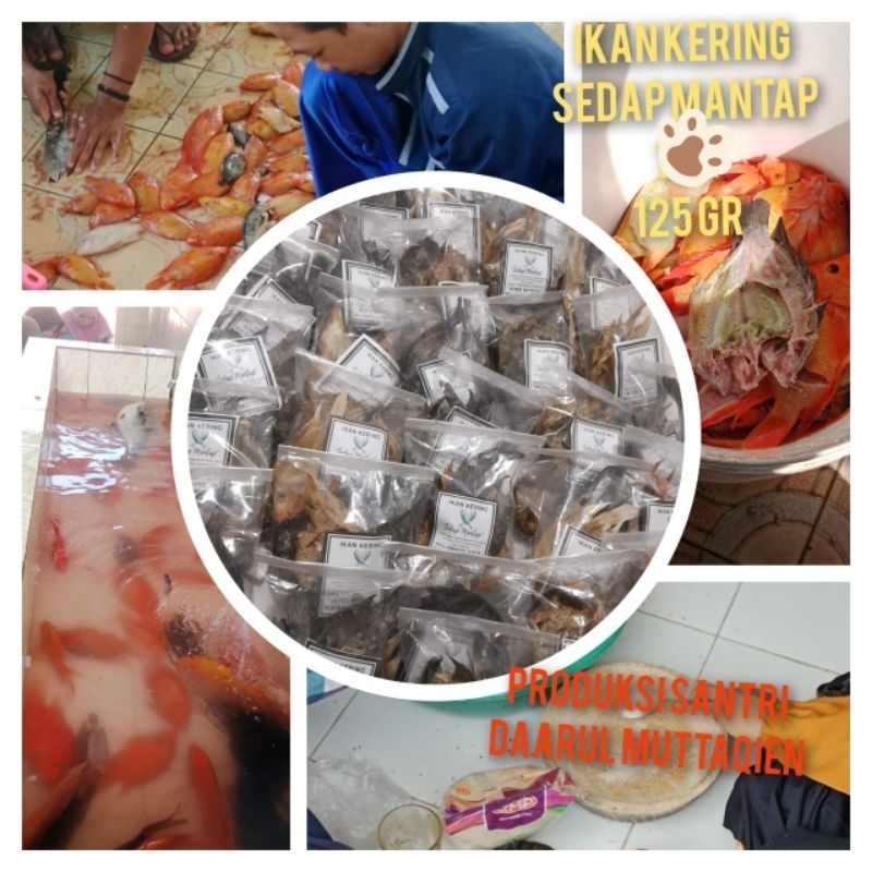 

Ikankering