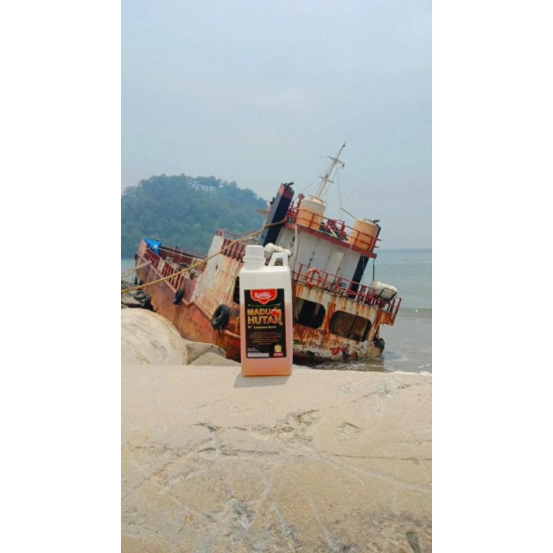 

Madu Hutan Sumbar 5 Kg (Grosir)