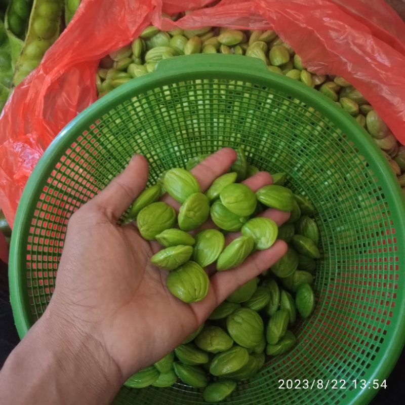 

Pete super grade A 1 kg/1000 gram rasa renyah manis
