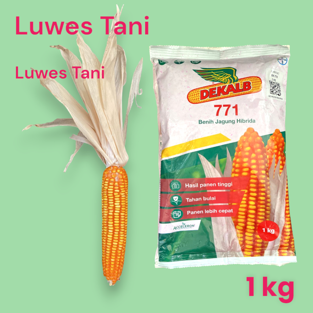 Benih Jagung Genjah Dekalb DK 771 - 1 KG kemasan pabrik