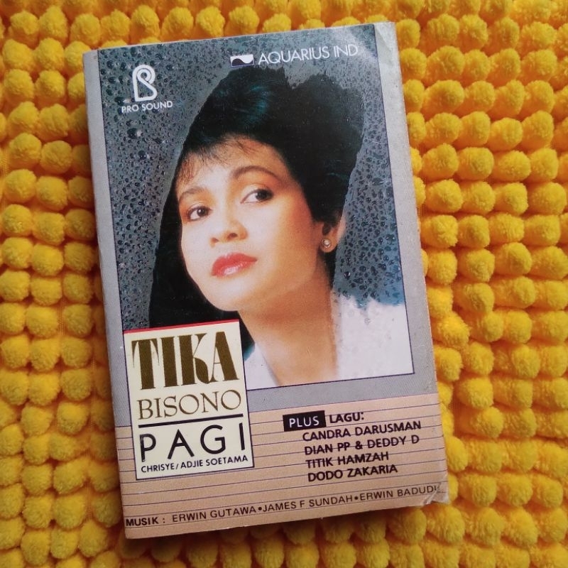 KASET TIKA BISONO PAGI (ORIGINAL)