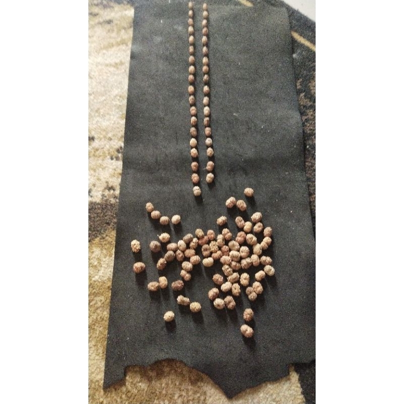 pre order Mala 54 pcs 11mukhi small size