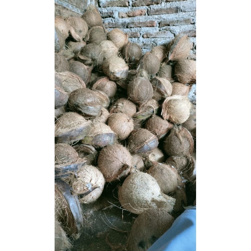 

kelapa santan