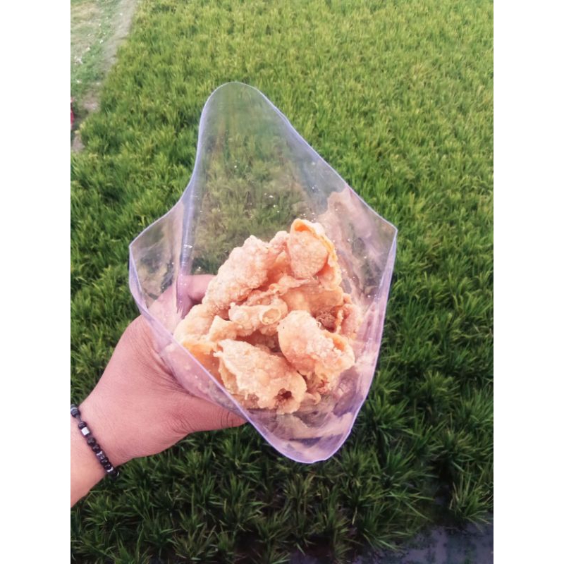 

KRIPIK KULIT AYAM