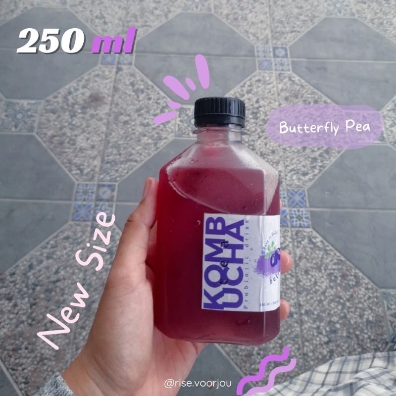 

Probiotic Kombucha Tea 250 ml | [ BUTTERFLY PEA ] Bunga Telang | Detox | Teh Kombucha | by rise.voorjou | Minuman Probiotik