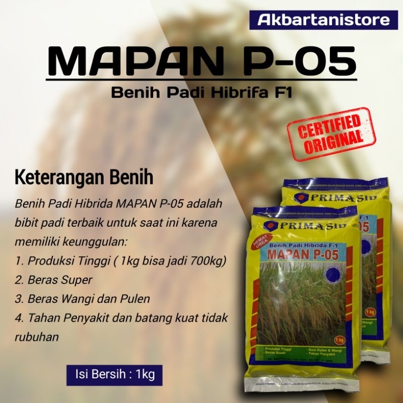 Benih Padi Hibrida F1 Mapan P-05 -1kg