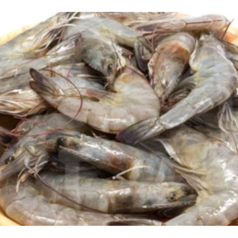 

Udang Vename Fesh Besar