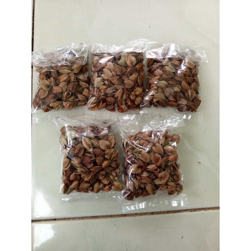 Benih Air Mata Pengantin