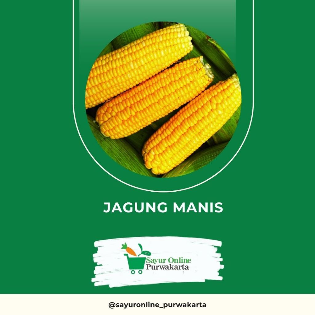 

Jagung Manis - Sayur Online Purwakarta