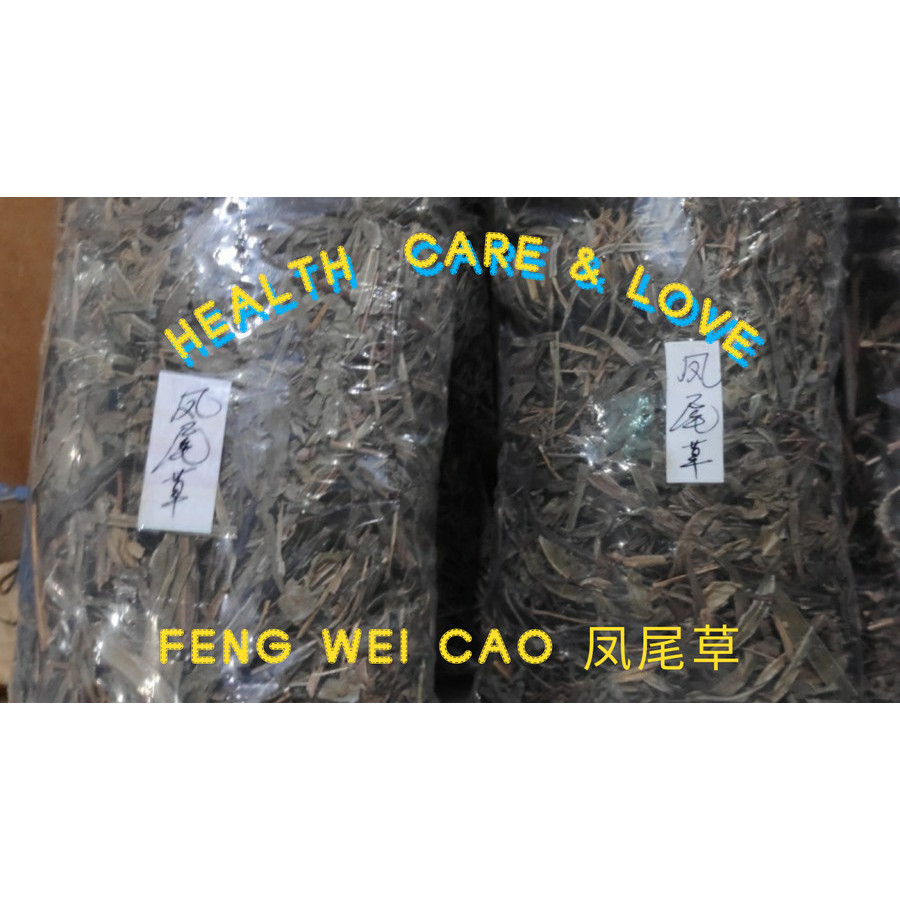 

Feng Wei Cao 凤尾草 Herba Pteridis Multifidae Premium 50 Gr