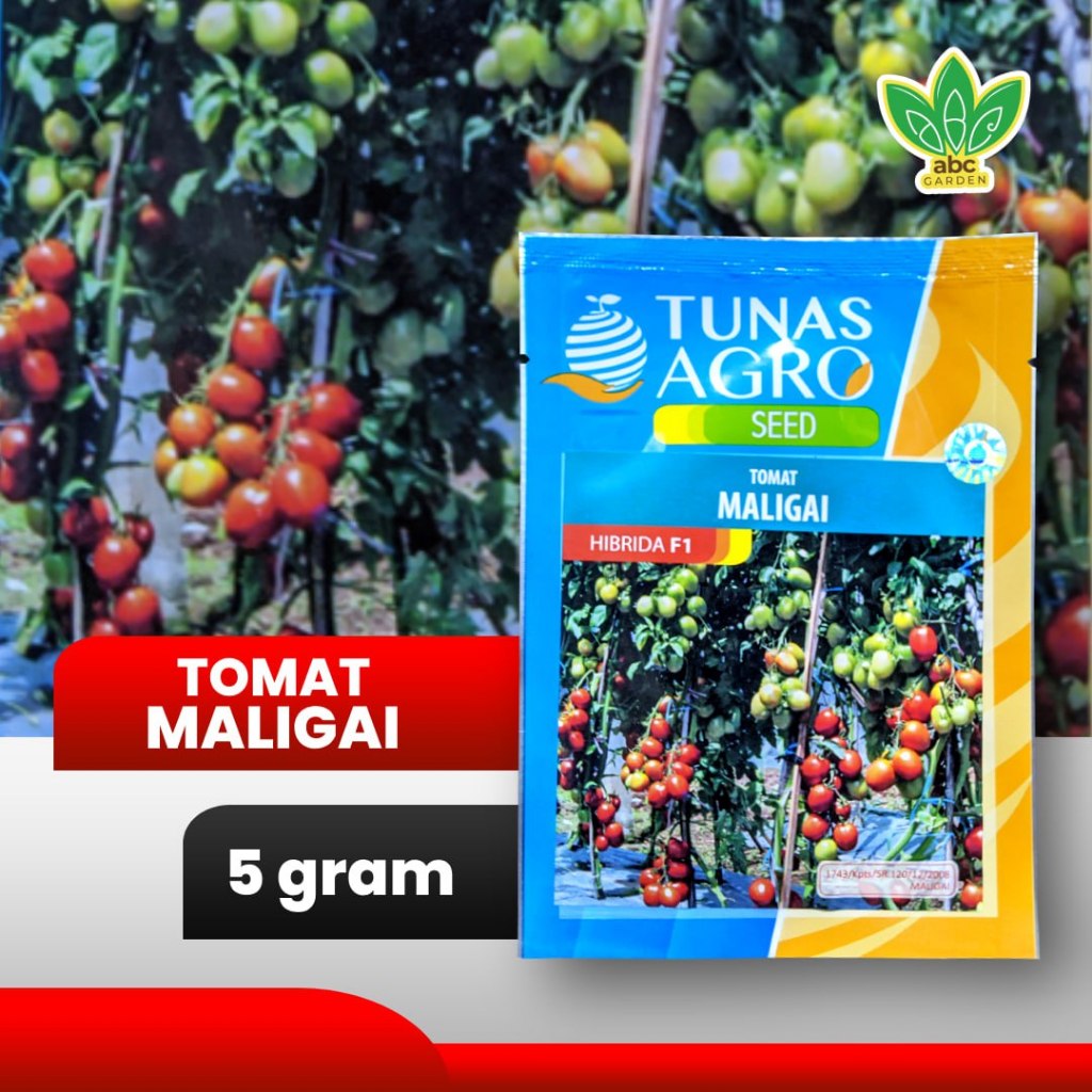 [5gram] Benih Tomat Maligai Tunas Agro