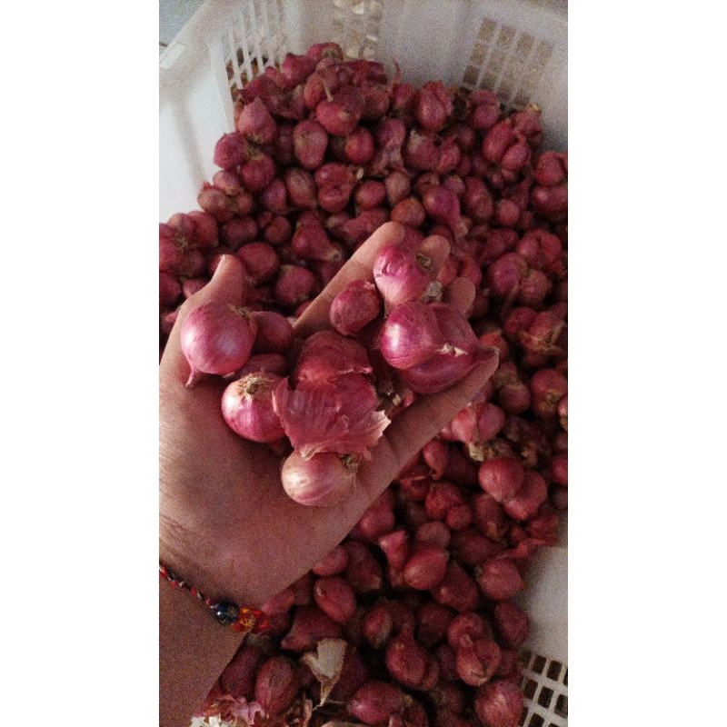 

Bawang merah super 500gr