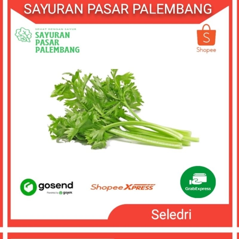 

Daun Sop (Seledri) - Sayuran Pasar Palembang