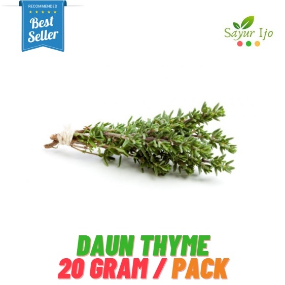 

Daun Thyme 20 Gram / Pack Fresh Mint Leaf Rempah Sayur Hijau Segar