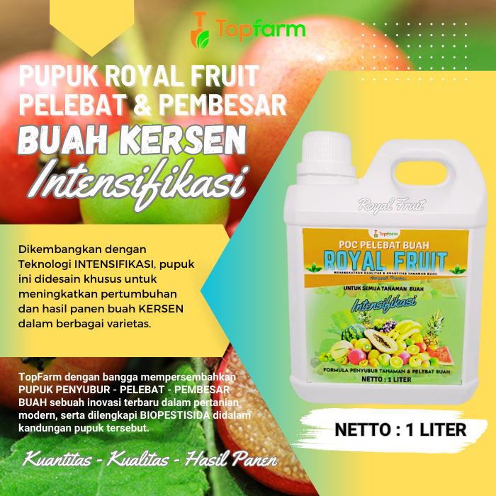 Pupuk Booster Semua Buah / Pupuk Khusus Pelebat Buah Kersen / Pupuk Cair Untuk Buah Kersen / Pupuk P