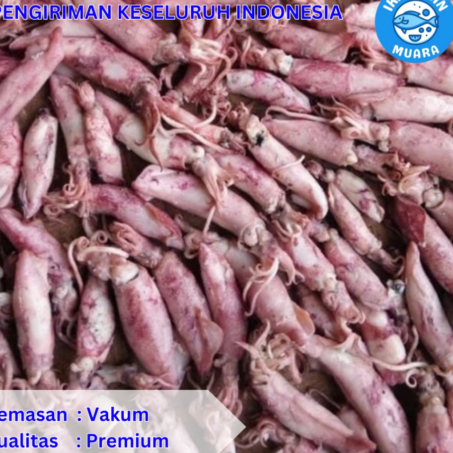

☌➜✥ Cumi Asin Kemasan Vakum 250 Gram - 500 Gram - Ikan Asin Muara Model Terkini