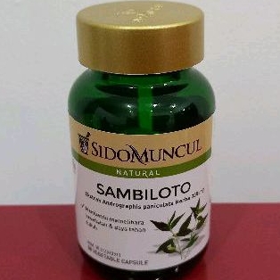 Sido Muncul Ekstrak Daun Sambiloto Kapsul 50 Daya Tahan Tubuh