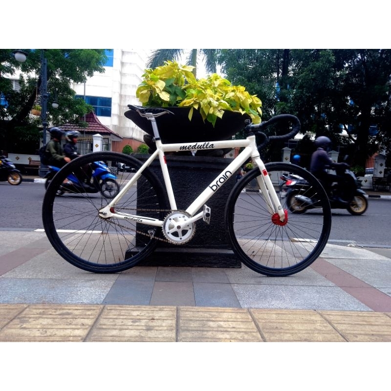 sepeda brain medulla alloy