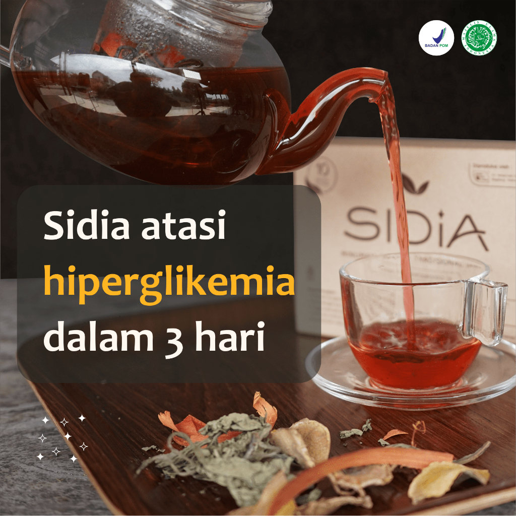 

Sidia teh rempah penghancur diabetes gula darah ampuh 100% herbal