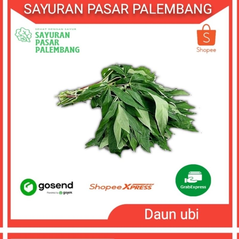 

Daun ubi / Singkong - Sayuran Pasar Palembang