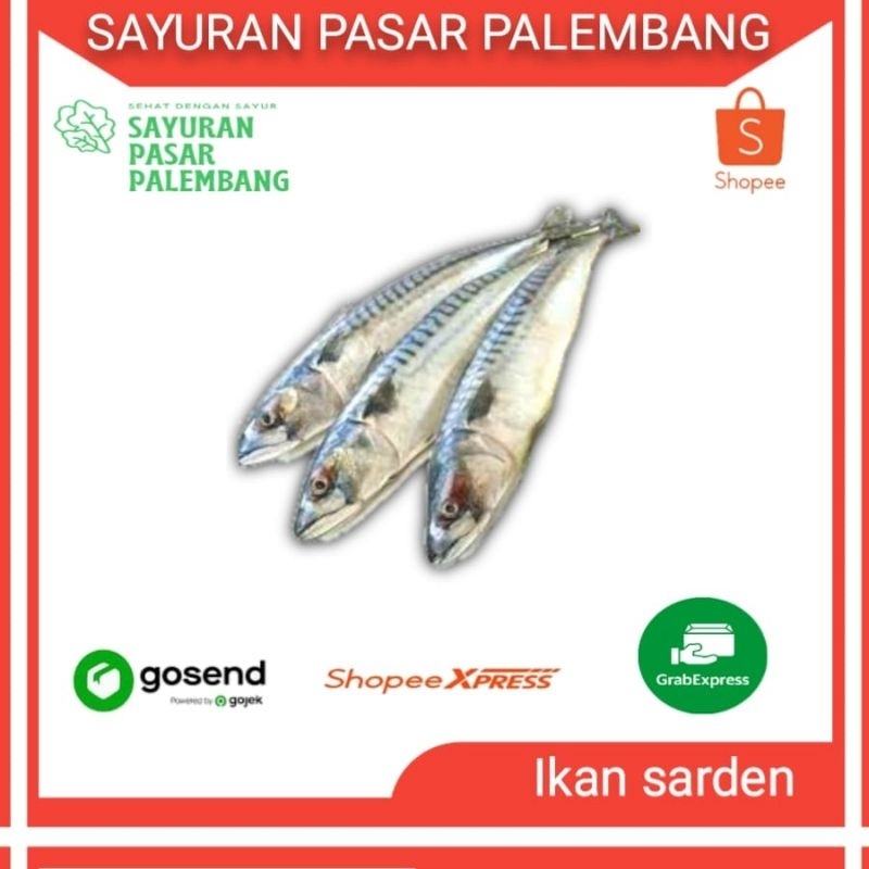 

Ikan Laut Sarden Fresh - Sayuran Pasar Palembang