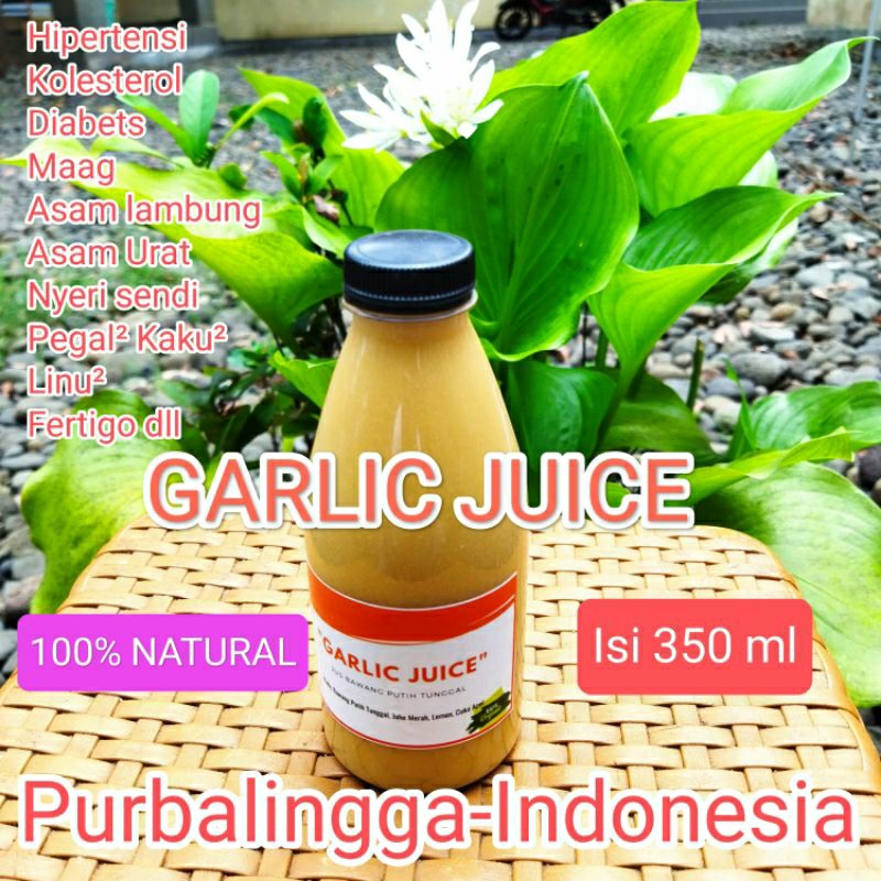 

Garlic Juice /Jus Bawang Lanang Jahe Merah Cuka Apel Lemon Kalifornia Madu Hutan 100% Herbal Alami Melancarkan Peredaran Darah Hipertensi Setrooke Diet Maag Kronis Kolesterol Batuk Kebas Kebas Asam Urat Rematik dll