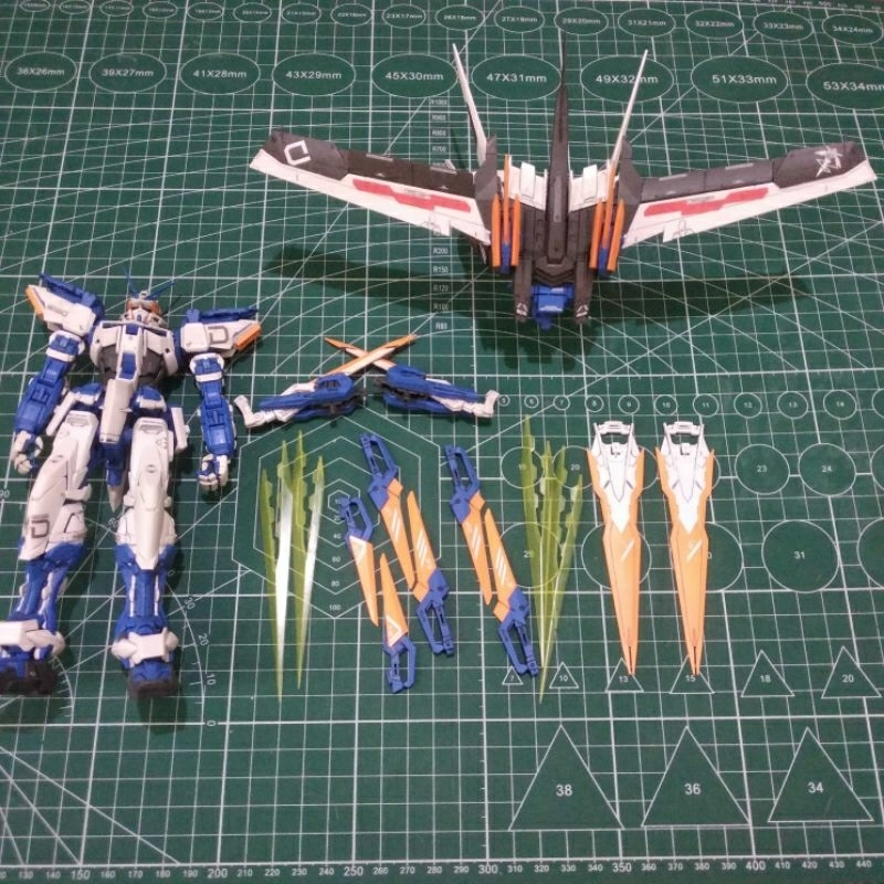 Gundam MG Astray Blue Frame Type D Bandai
