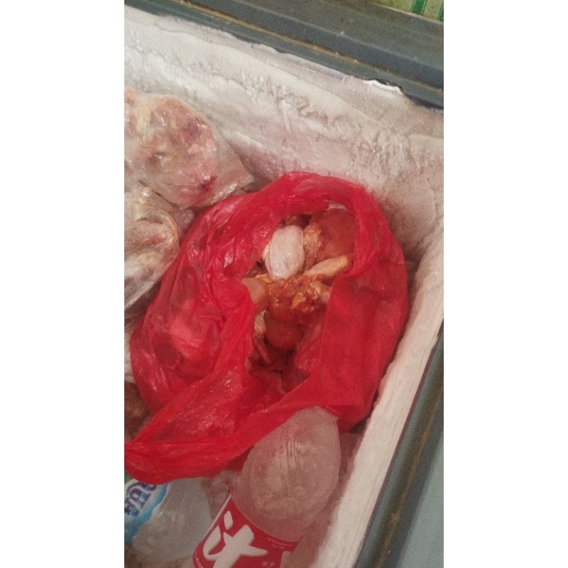 

paha bawah ayam + Tulang